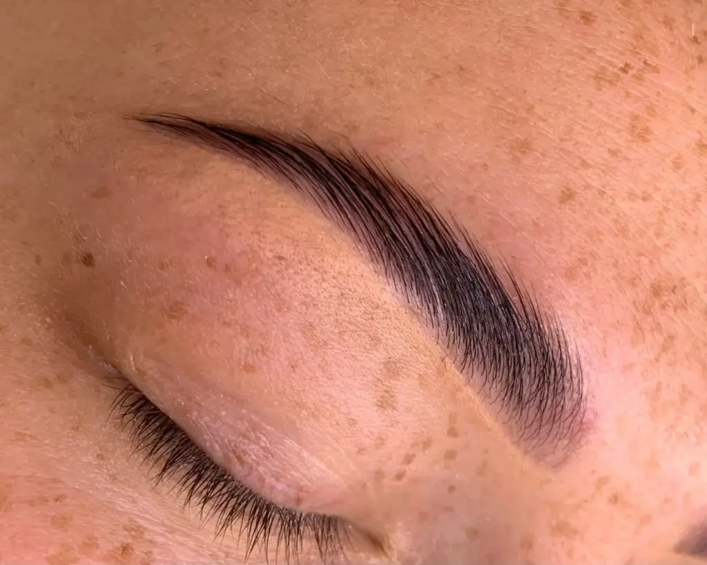 Close-up of a neatly shaped, brushed-up dark eyebrow above a closed eye with long natural lashes.
