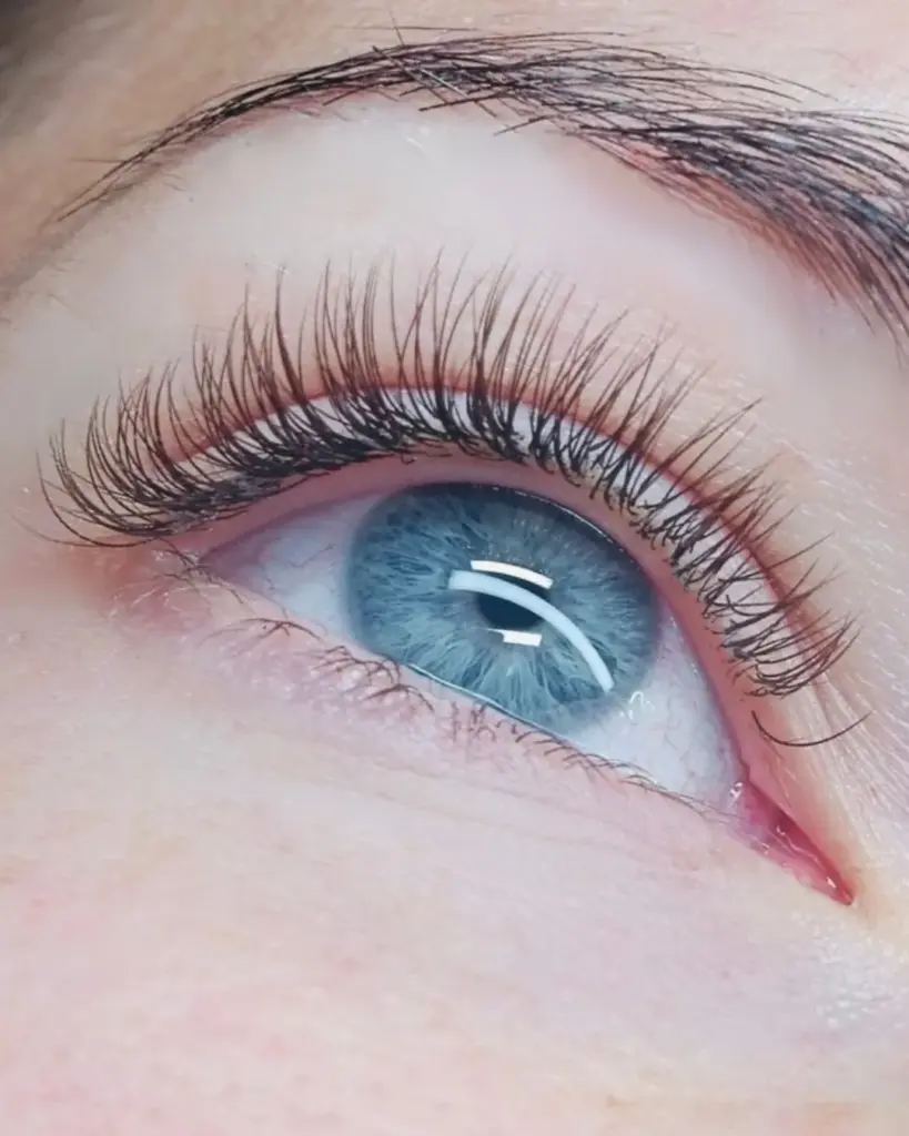 Close-up of a blue eye with long, curled lash extensions and a shaped dark eyebrow.
