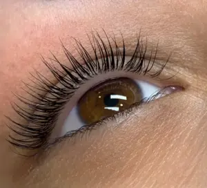 Close-up of a brown eye with long, dramatic black lash extensions.
