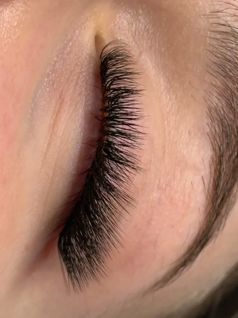 Close-up of a closed eye with long, dense black eyelash extensions viewed from the side.