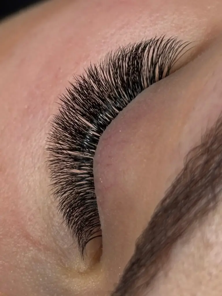 Close-up of a closed eye showcasing dense, curled black eyelash extensions.