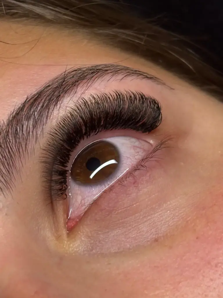 Close-up of a brown eye with dense, curled lash extensions and a neatly shaped eyebrow.