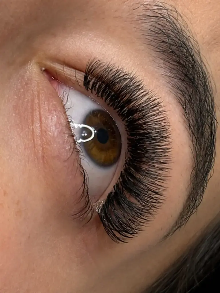 Close-up of a brown eye with long, voluminous black lash extensions and a full eyebrow.