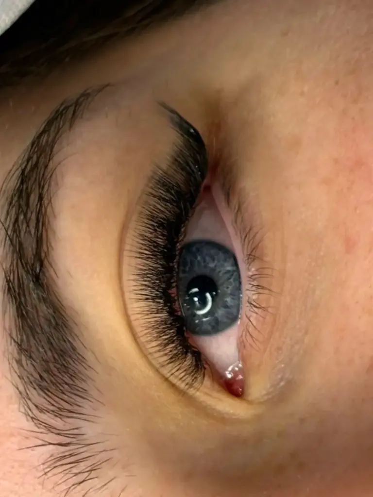 Close-up of a blue-gray eye with long, dense curled lashes and a shaped dark eyebrow.