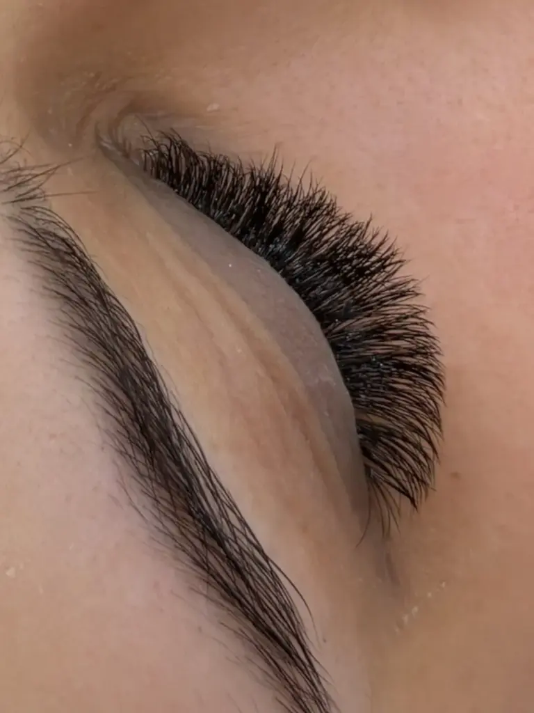 Close-up of a closed eye with dense, fanned eyelash extensions and a neatly shaped eyebrow.